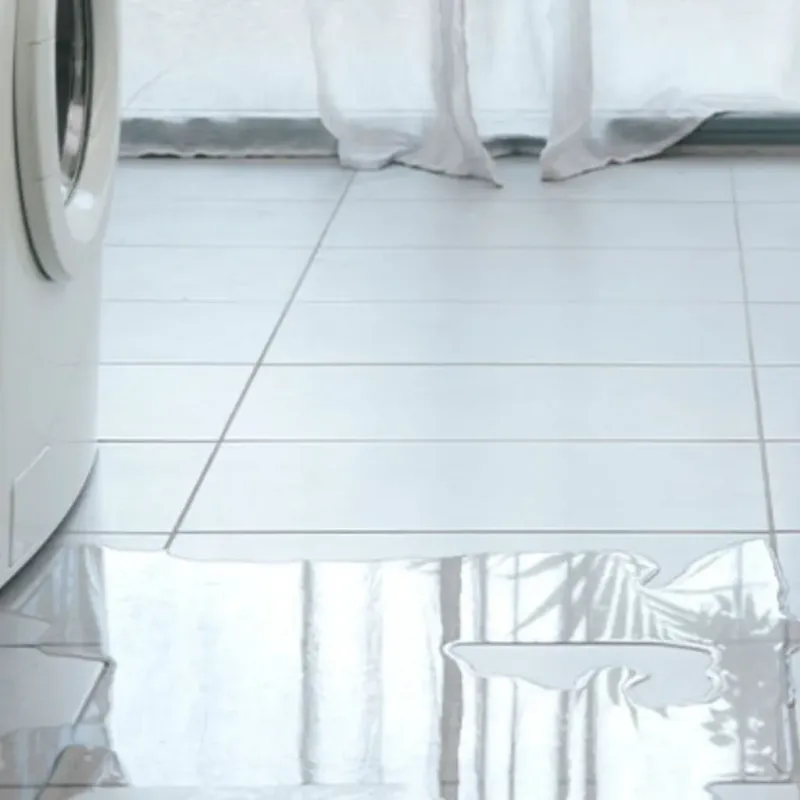 Appliance Leak Cleanup in Woodsboro, TX