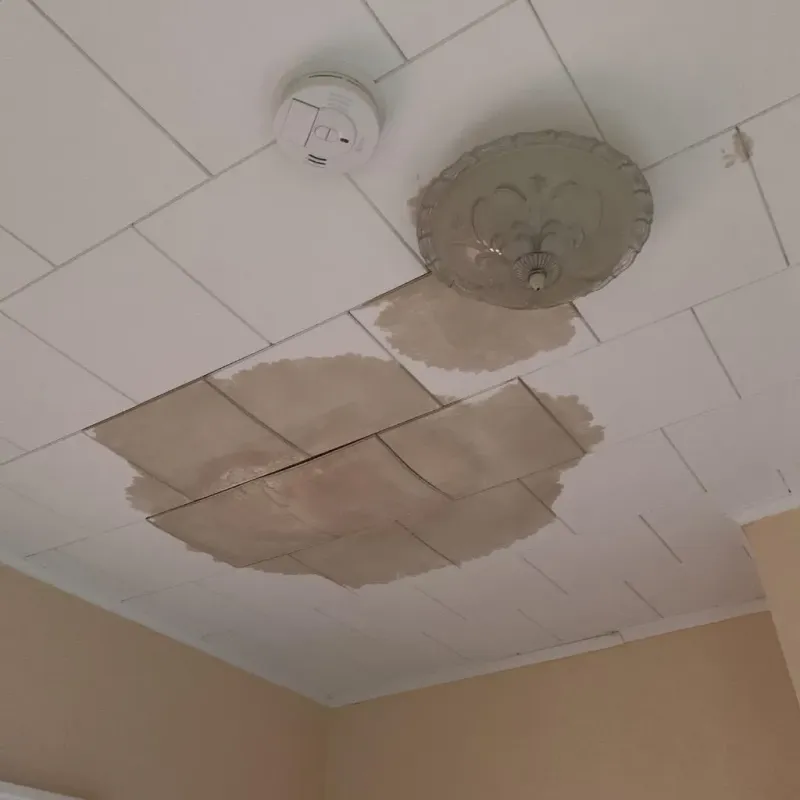 Ceiling Water Damage Repair in Woodsboro, TX