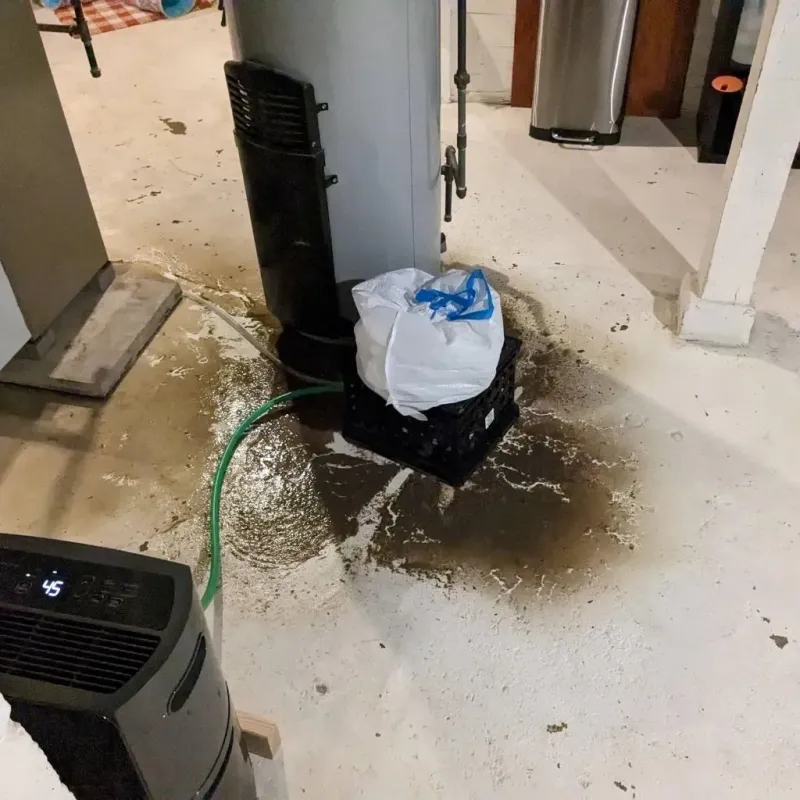 Sewage Backup Cleanup Service in Woodsboro, TX